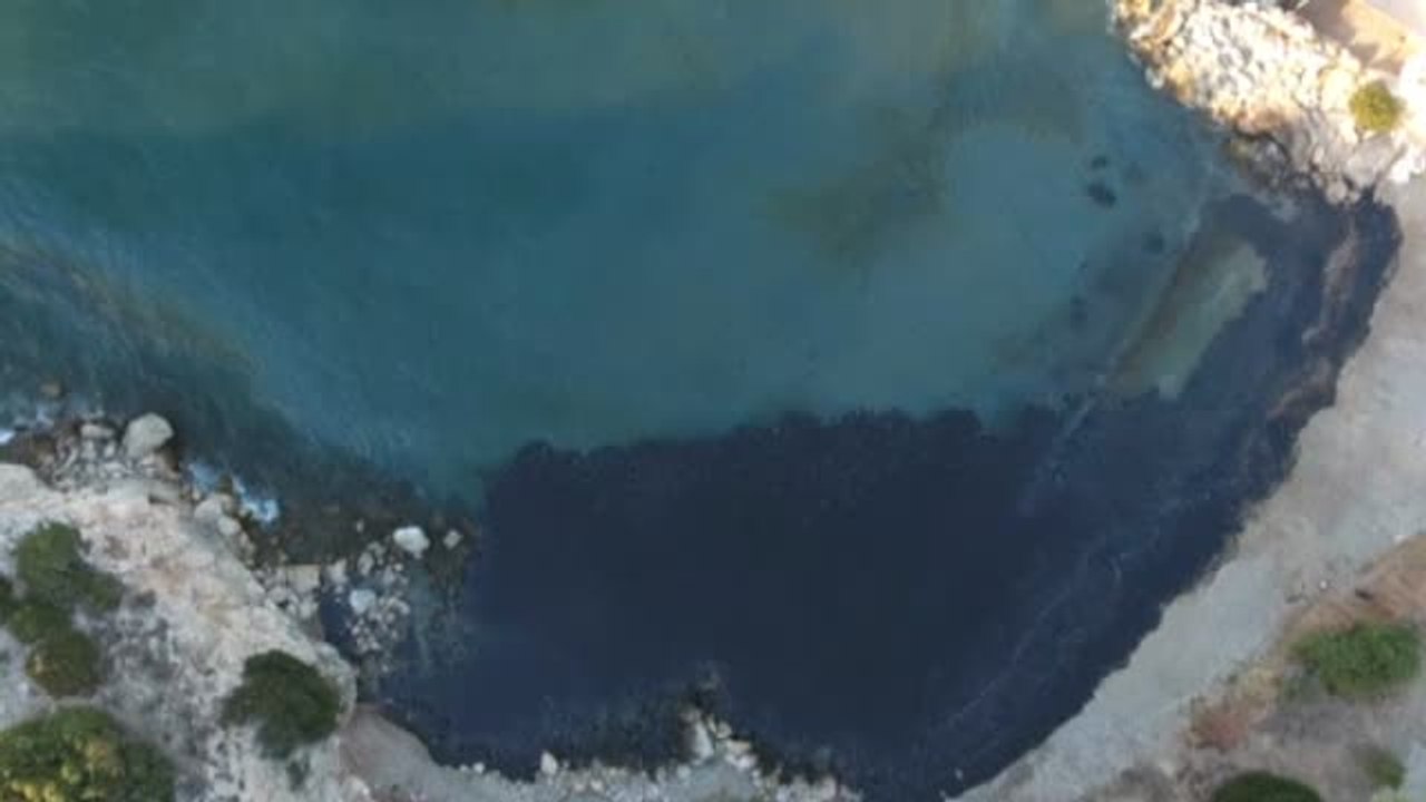 Un vertido de gasóleo afecta a la fauna en la isla griega de Salamina