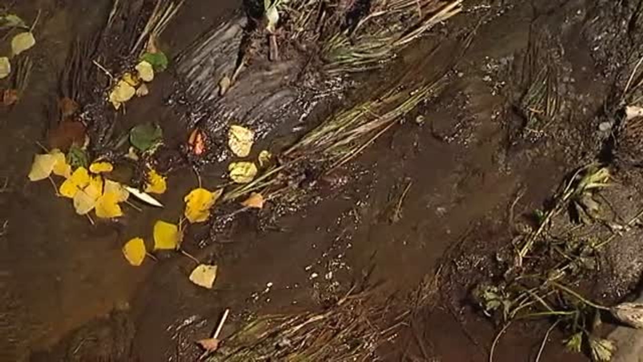 Ríos teñidos de negro por las cenizas del incendio de León