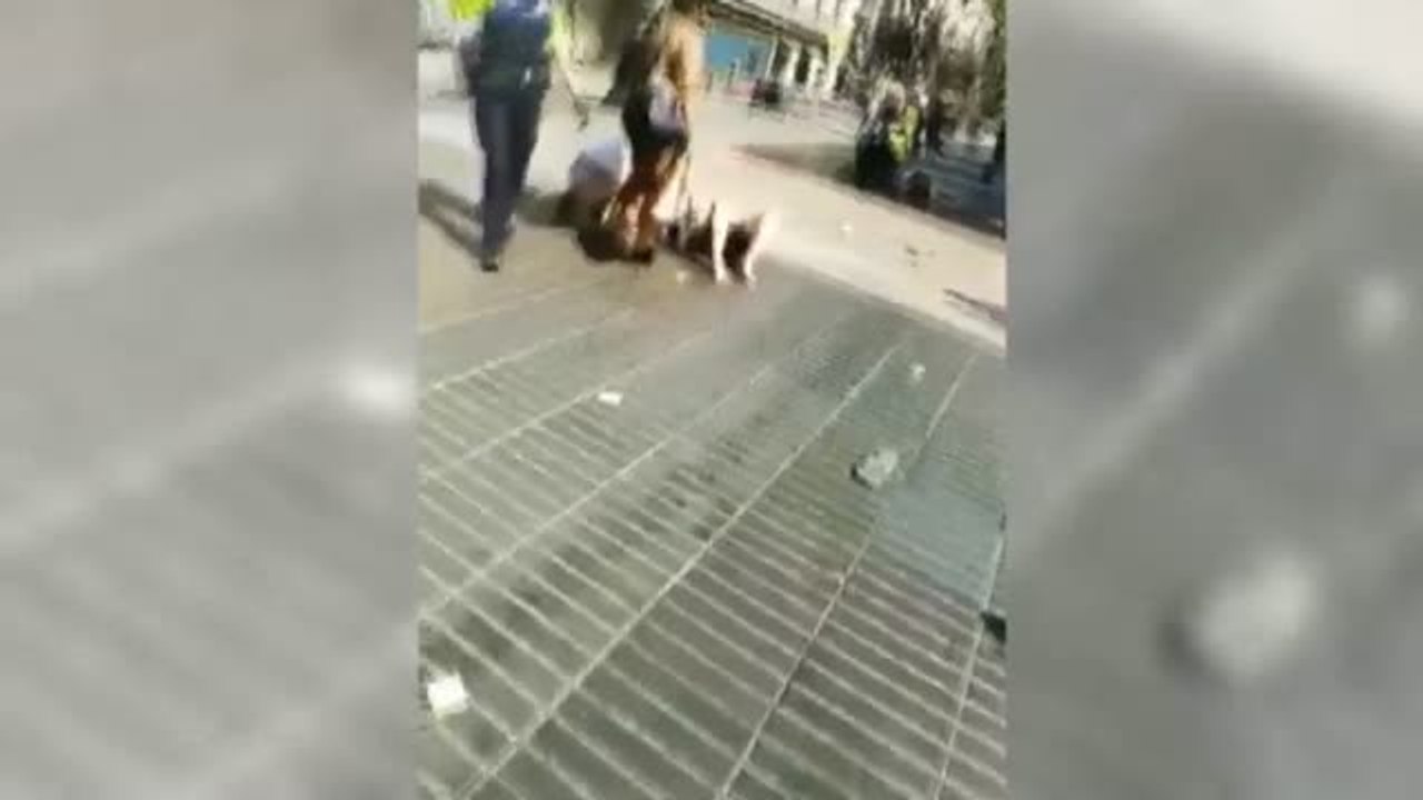 Cuerpos y fuerzas de seguridad, personal sanitario y ciudadanos, héroes de Barcelona