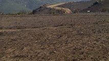 Más de 10.000 hectáreas arrasadas por el fuego en la Sierra de Cabrera
