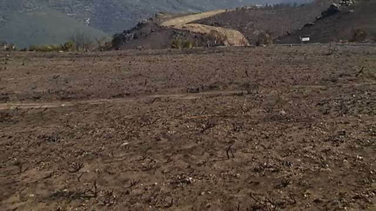 Más de 10.000 hectáreas arrasadas por el fuego en la Sierra de Cabrera