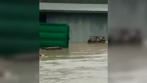 La lluvia inunda calles y comercios del País Vasco
