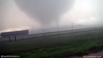 Violent tornado hurls COWS in the air in Cheyenne, Wyoming
