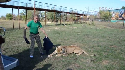 En russie on maitrise les lions à coup de chaussure...