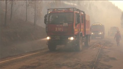 Los incendios dejan un dramático récord histórico en Portugal
