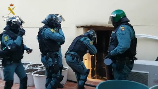 Ocho detenidos en Alicante por formar parte de una banda dedicada al tráfico internacional de marihuana