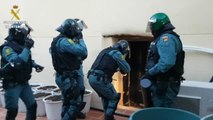 Ocho detenidos en Alicante por formar parte de una banda dedicada al tráfico internacional de marihuana