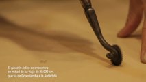'Sincronías 2016', videoarte que dialoga con el tiempo