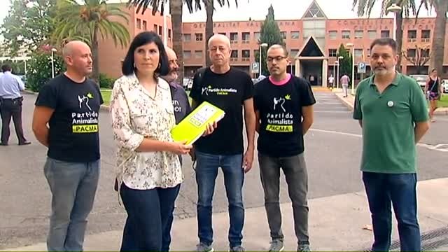 PACMA denuncia el maltrato animal en el tradicional tiro y arrastre