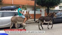 Los animalistas denuncian maltrato animal en las carreras de burros de Tanos (Cantabria)