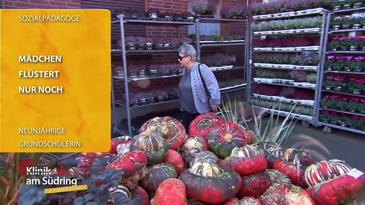 Ada (9) flüstert nur noch: Hat sie Angst vor der neuen Schule? | Die Familienhelfer | SAT.1