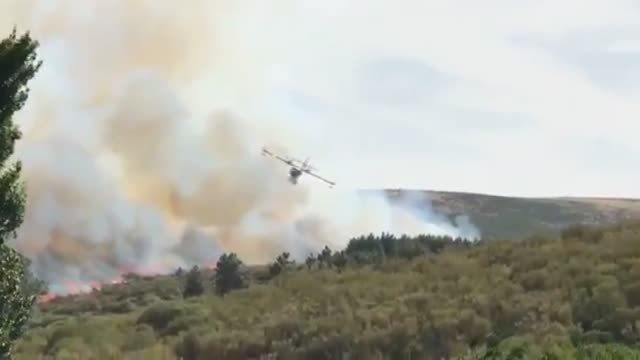 Incendio en Gredos