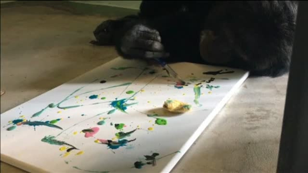 Una exposición de arte en Estados Unidos vende cuadros pintados por simios