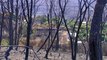 Estabilizado el incendio de Verín tras quemar 1.300 hectáreas