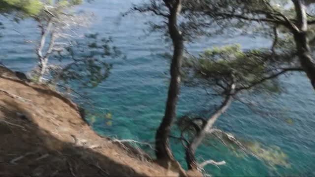 Trágico accidente en Roses