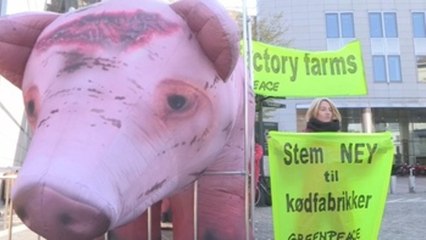 Un enorme cerdo enjaulado para denunciar las granjas industriales