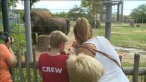 Primera aparición pública del elefante asiático nacido en el zoo de Houston