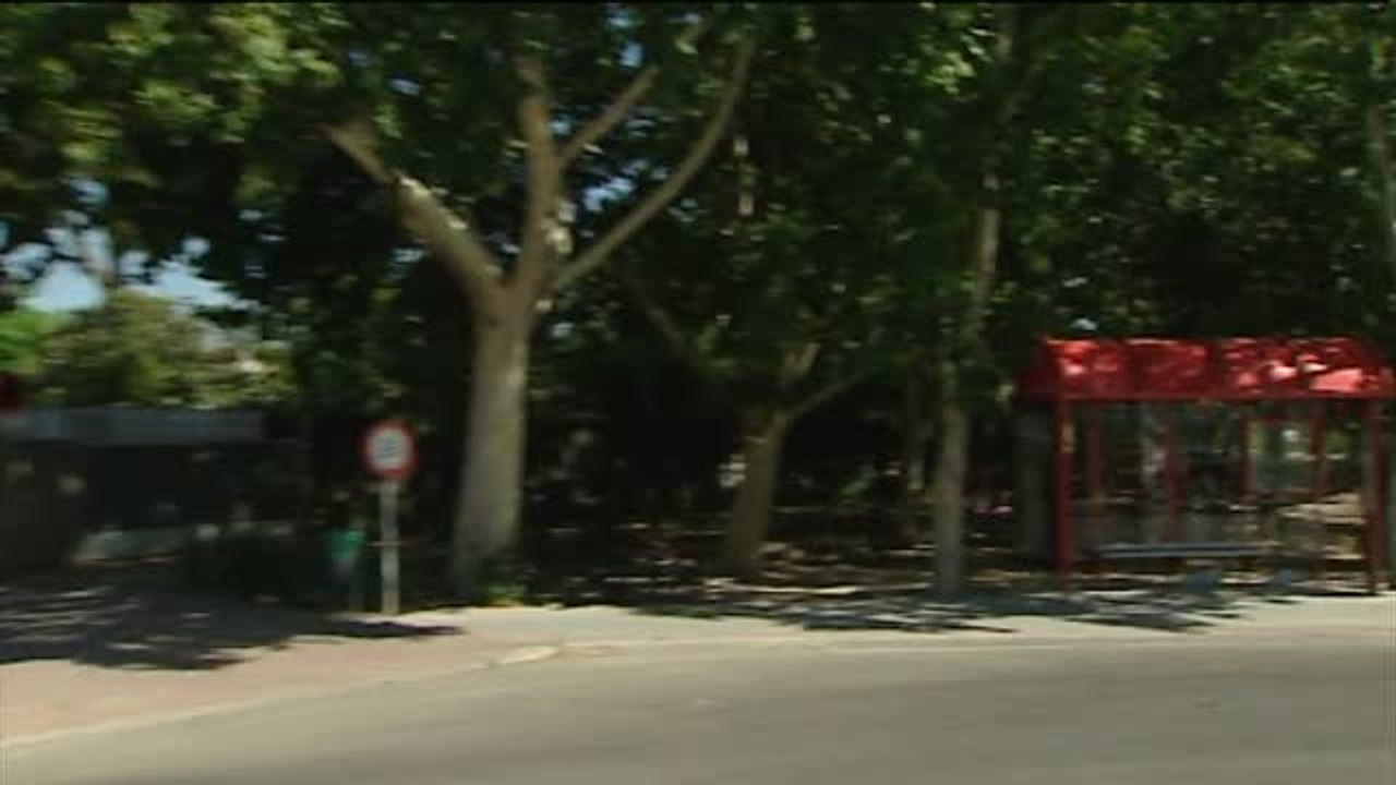 Detenido un hombre por intentar secuestrar a dos niños en San Martín de la Vega (Madrid)