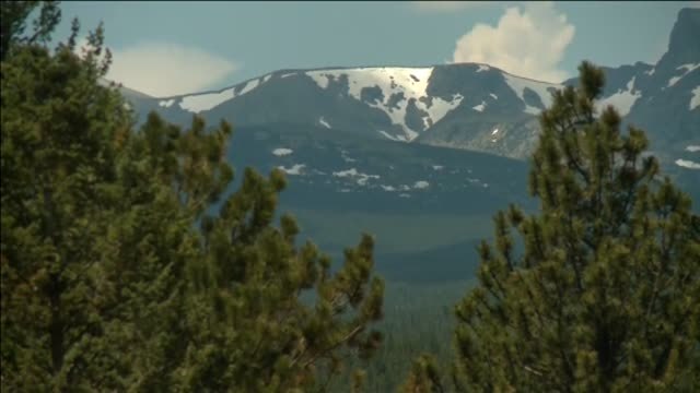 Un joven sobrevive al ataque de un oso en Colorado, EEUU