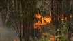 Los incendios atacan duramente Portugal