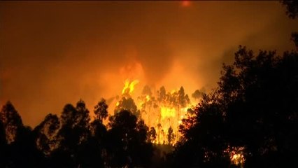 Cuatro incendios arrasan Portugal
