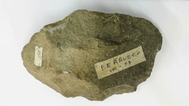 Rescatadas 600 piezas arqueológicas de un contenedor