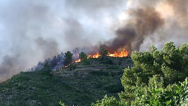 Un incendio forestal amenaza la Sierra Calderona en Gátova