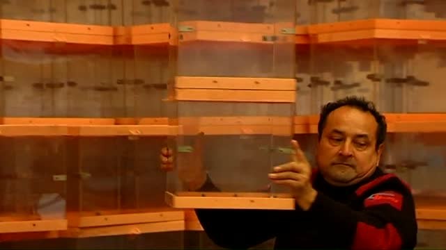 El Govern se queda sin proveedores de urnas para el referéndum