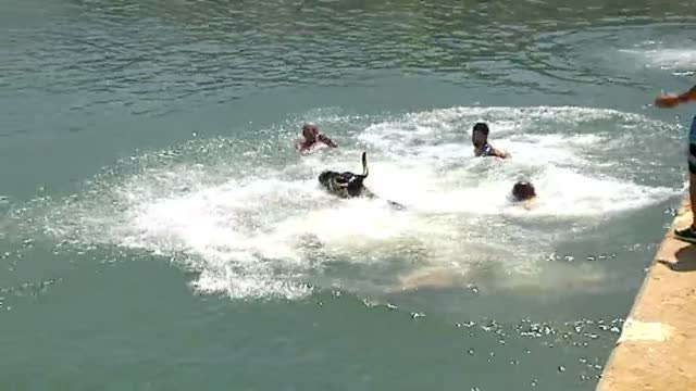 Denia vive sus polémicos 'Bous a la mar'