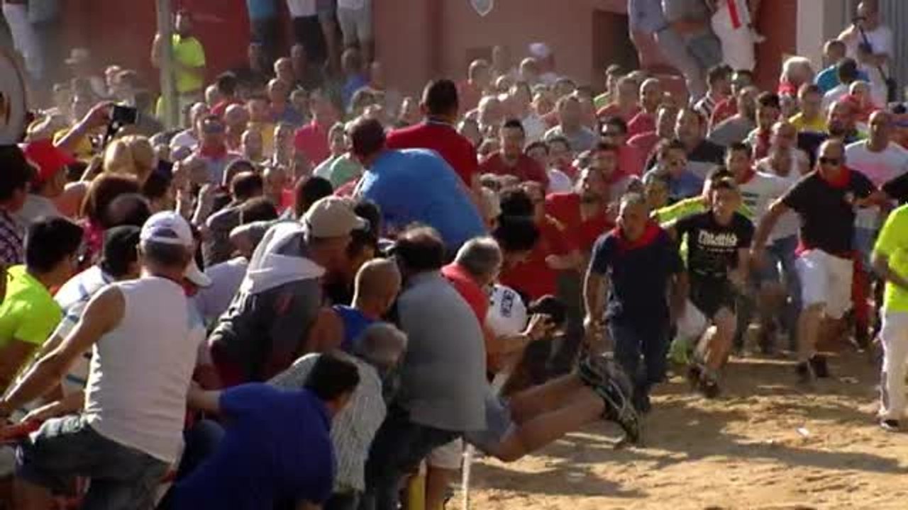 Ausencia de animalistas en la carrera del Toro Enmaromado de Benavente