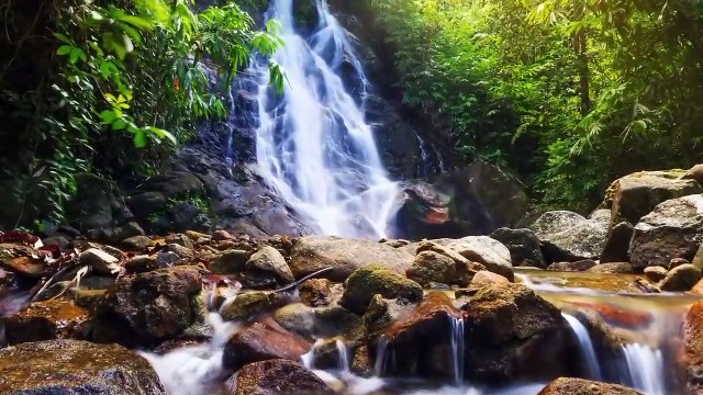 30 Minutes de Sommeil Profond de la Musique, Musique Paisible, de la Méditation, de la Musique, de Dormir, de Méditation de la Musique, des 3257D