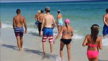 Avistan siete tiburones a orillas de una playa de Florida
