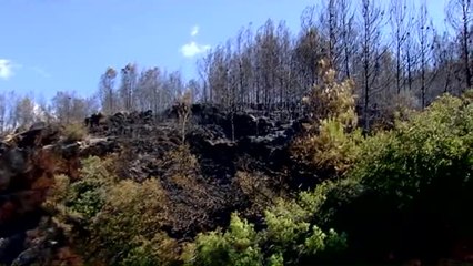 El enfado de uno de los bomberos que trabaja en Sierra Calderona que se ha hecho viral