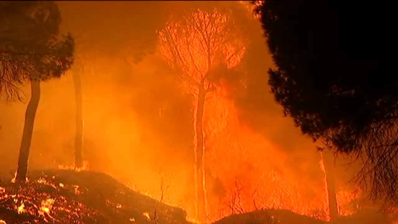 El incendio de Moguer alcanza el Espacio Natural de Doñana
