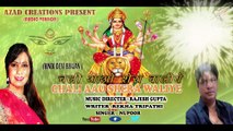 || CHALI AAU SHERA WALIYE ||BEST OF DEVI BHAJANS||