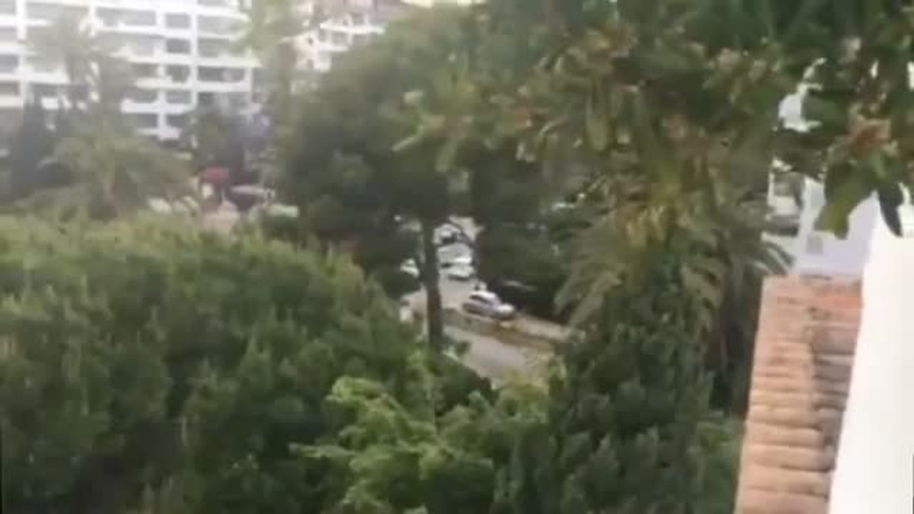 Dos británicos borrachos siembran el pánico en Marbella