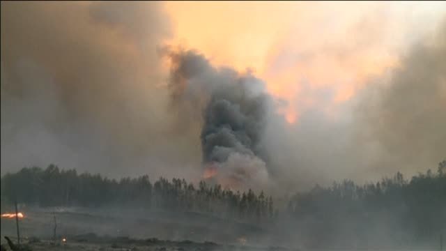 Al menos 43 muertos en un incendio en el centro de Portugal