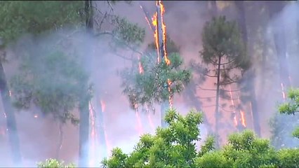Angustiados por las llamas