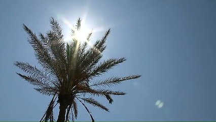 Esta ha sido la primavera más calurosa desde 1965