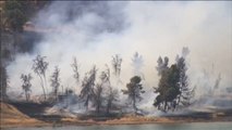 Un incendio forestal calcina ya más de dos hectáreas