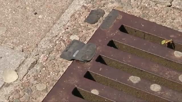 Cardiff va tomando ambiente de Champions