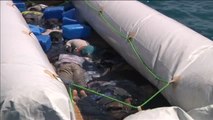 Hallan los cadáveres de ocho inmigrantes dentro de una embarcación cerca de las costas de Libia