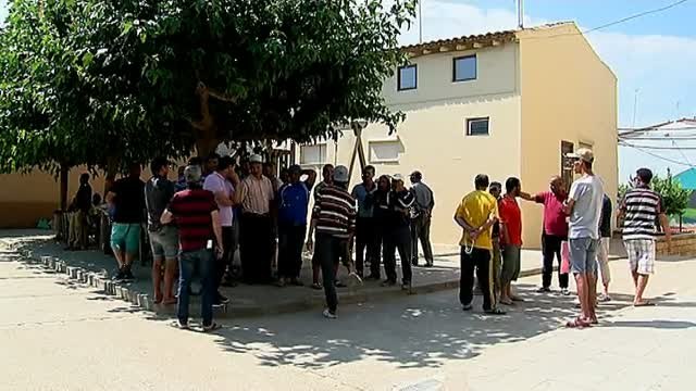 Temporeros denuncian condiciones infrahumanas y sueldos ridículos en la recogida de fruta en los campos de Lérida