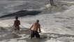 Vecinos y turistas logran salvar a una ballena en una playa de México