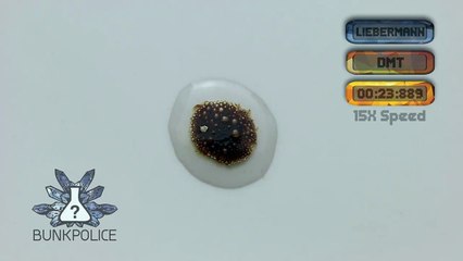 Liebermann Reagent - DMT - Normal Test Kit