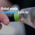 Robot yemle oltaya gelen balıklar