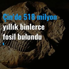 Çin'de 518 yıllık binlerce fosil bulundu