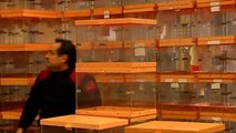 La Fiscalía prepara una querella por la compra de urnas de la Generalitat