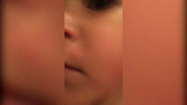 Los mosquitos vuelven a hacer estragos en Málaga