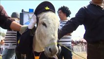 El burro 'Donald Trump' acapara toda la atención en una tradicional feria mexicana